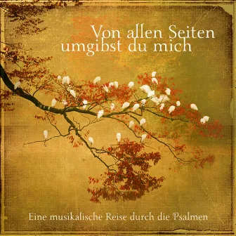 Von allen Seiten umgibst du mich by Anni Gräb