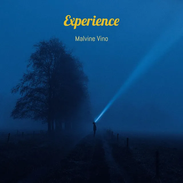 Experience