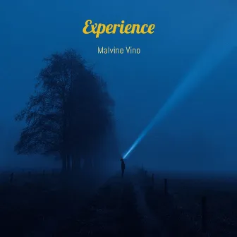 Experience by 