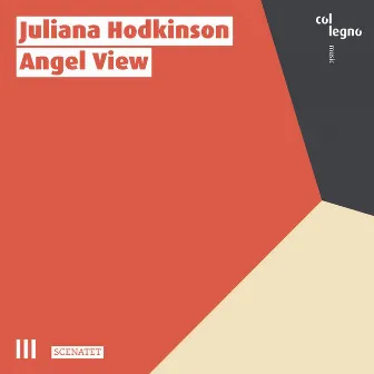 Angel View by Juliana Hodkinson