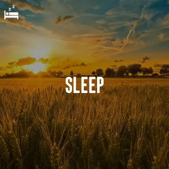 Sleep by Sleepy Piano Keys