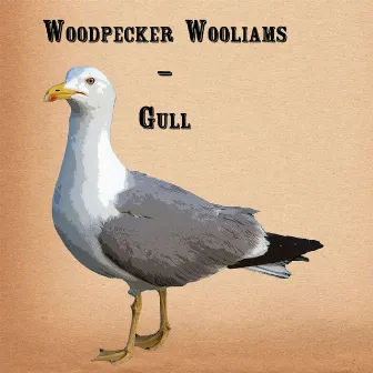 Gull by Woodpecker Wooliams