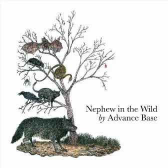 Nephew in the Wild (Deluxe Edition) by Advance Base