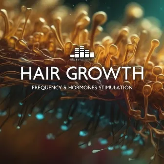 Hair Growth Frequency & Hormones Stimulation by Binaural Music Zone