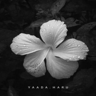 YAADA HARU by RIVER