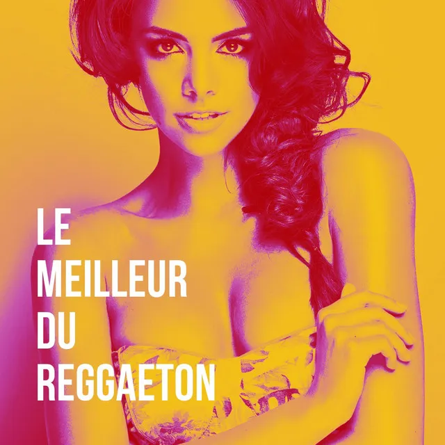 Le Meilleur Du Reggaeton