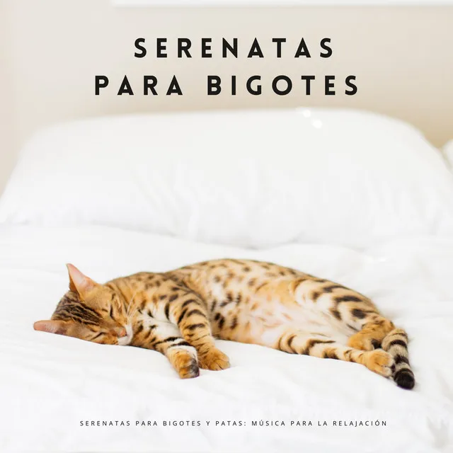 Serenatas Para Bigotes Y Patas: Música Para La Relajación