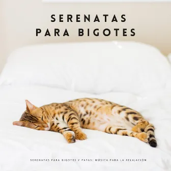 Serenatas Para Bigotes Y Patas: Música Para La Relajación by Perros y gatos felices