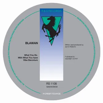 What You Do with What You Have by Blawan