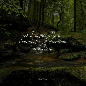 50 Sounds of Rain for Massage by Sonido Del Bosque y Naturaleza