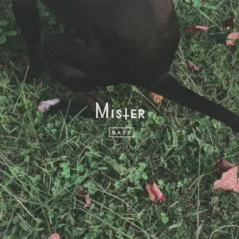 Daze by Mister