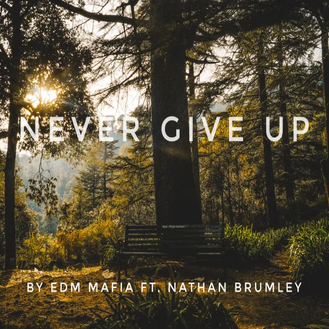 Never Give Up