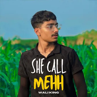 She Call Mehh by Wali king