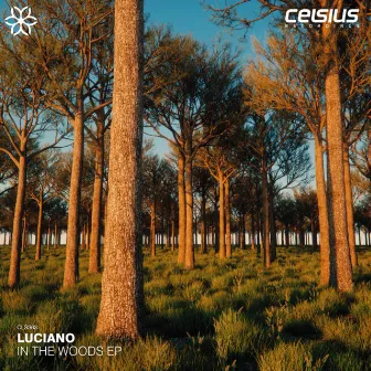 In The Woods EP by Luciano (DnB)