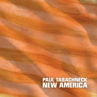 New America by Paul Tabachneck