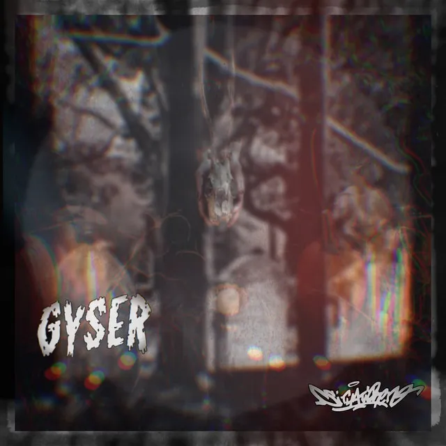 Gyser