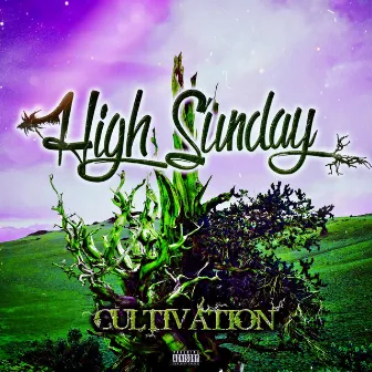 Cultivation by High Sunday