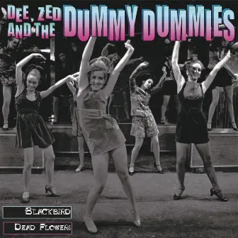 Dee, Zed and the Dummy Dummies by You, Me and the Dummy Dummies