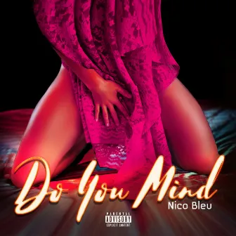 Do You Mind by Nico Bleu