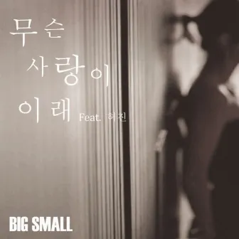 Why Is Love Like That by Big Small