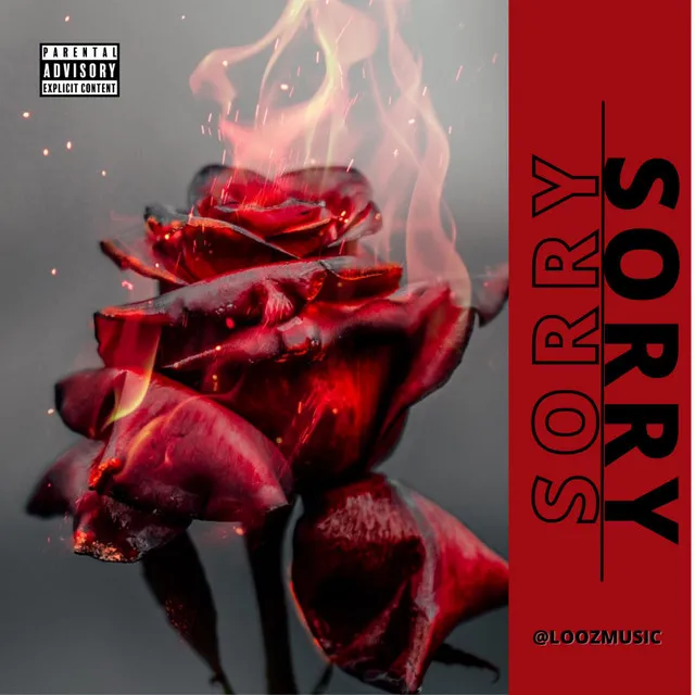 Sorry - Instrumental