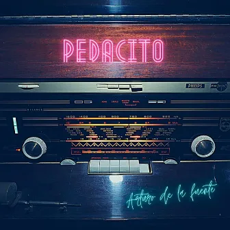 Pedacito by ARTURO DE LA FUENTE