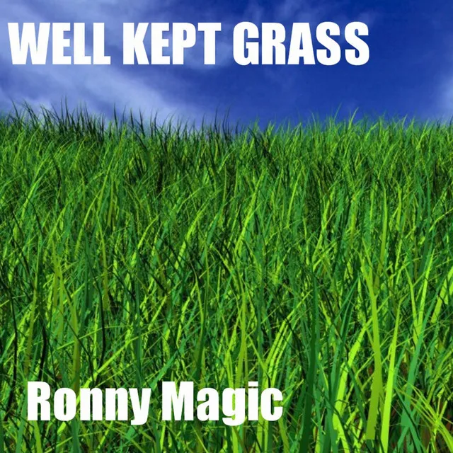 Well Kept Grass - Original