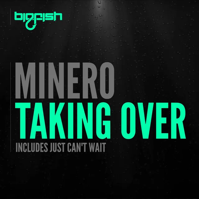 Taking Over - Original Mix