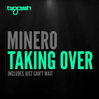 Taking Over by Minero