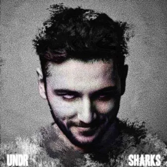 Sharks by Undr