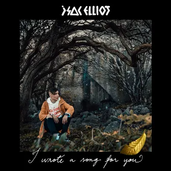 I Wrote a Song for You by Isac Elliot