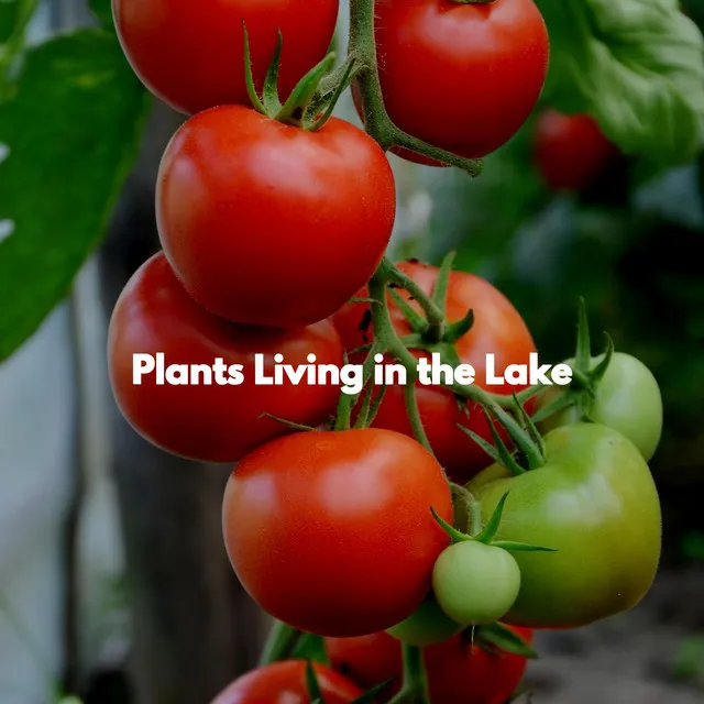 Plants Living in the Lake