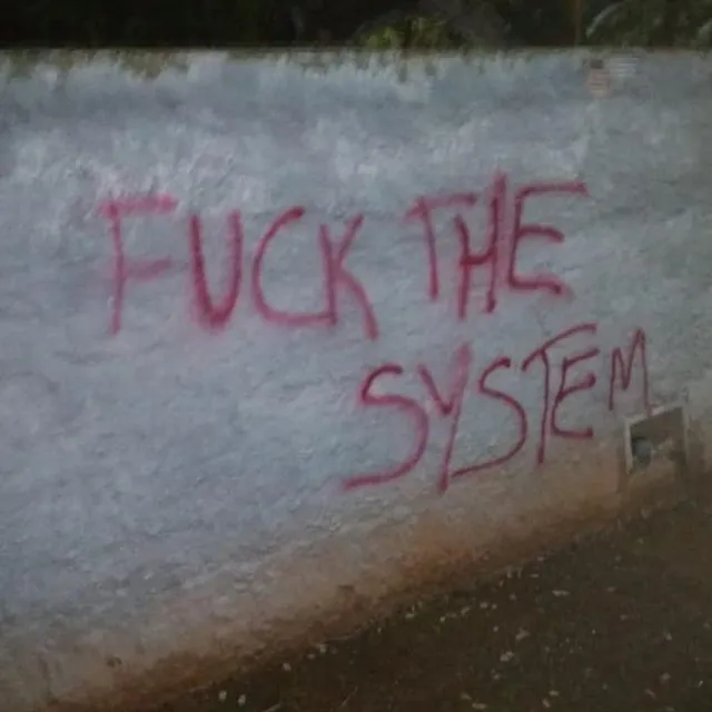 Fuck the System