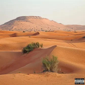 Sandstorm by Prod