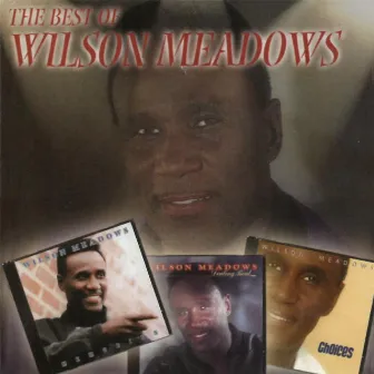 Best Of by Wilson Meadows