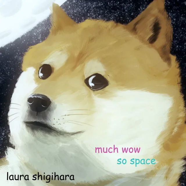 much wow, so space