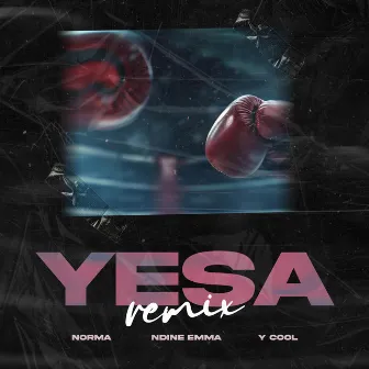 YESA (Remix) by Norma ZM