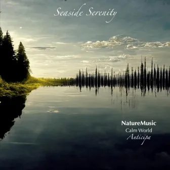 Seaside Serenity by NatureMusic