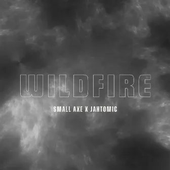 Wildfire by Unknown Artist