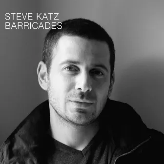 Barricades by Steve Katz