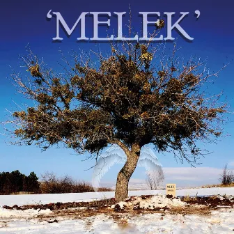 Melek by Eray Yeşilırmak