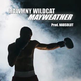 Mayweather by Rawmny Wildcat