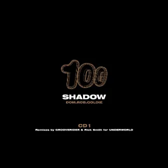 The Shadow (Process Mix Edit) / The Shadow (Grooverider Jeep Mix Edit) / The Shadow / The Shadow (Bing Here Mix) / The Shadow (Grooverider Jeep Mix) by Rob Playford