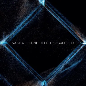 Scene Delete Remixes, Pt. 1 by Sasha