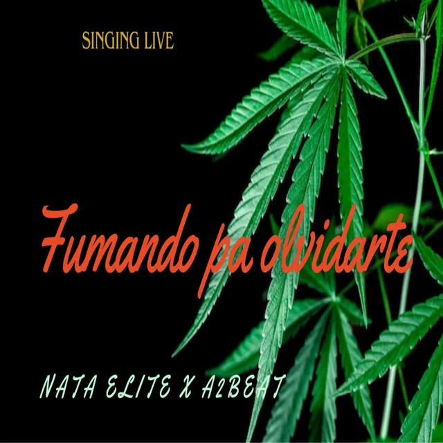 Fumando Pa Olvidarte ( Singinglive )