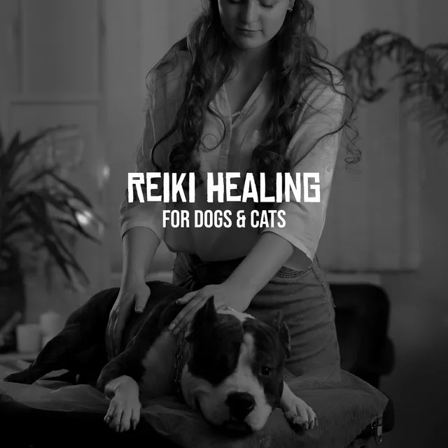 Reiki Healing for Dogs & Cats - Calming Music and Relaxing Sounds for Animals, Play, Spa & Sleep