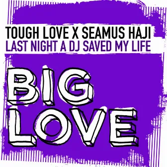 Last Night A DJ Saved My Life by Seamus Haji