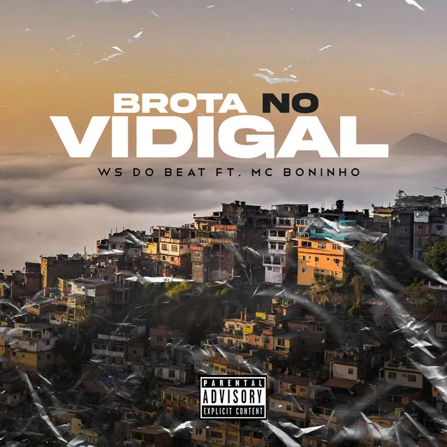 Brota no Vidigal