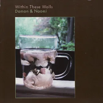 Within These Walls by Damon & Naomi