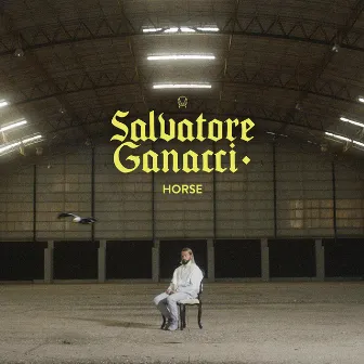 Horse by Salvatore Ganacci